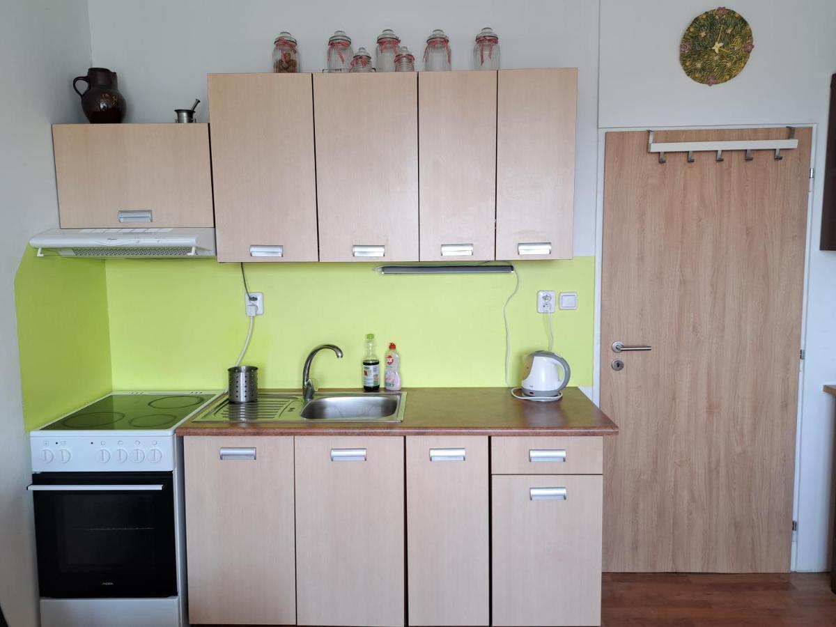 Apartman V Podhuri Krusnych Hor Sokolov Dış mekan fotoğraf