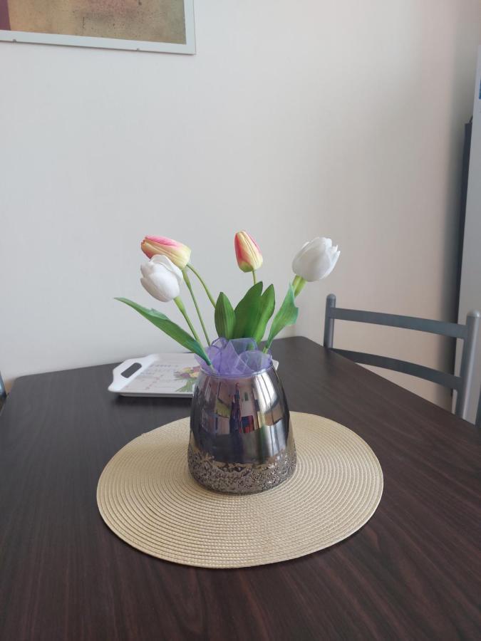 Apartman V Podhuri Krusnych Hor Sokolov Dış mekan fotoğraf